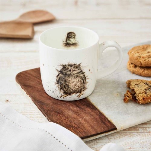 Wrendale Mug What A Hoot 3